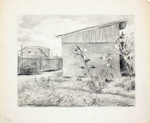 Чеботарёв Константин Константинович. Подсолнухи. Новогиреево